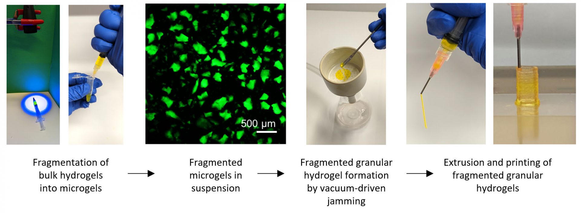 Fragmentation of bulk hydrogels into microgels -to- Fragmented microgels in suspension -to- Fragmented granular hydrogel formation by vacuum-driven jamming -to- Extrusion and printing of fragmented granular hydrogels