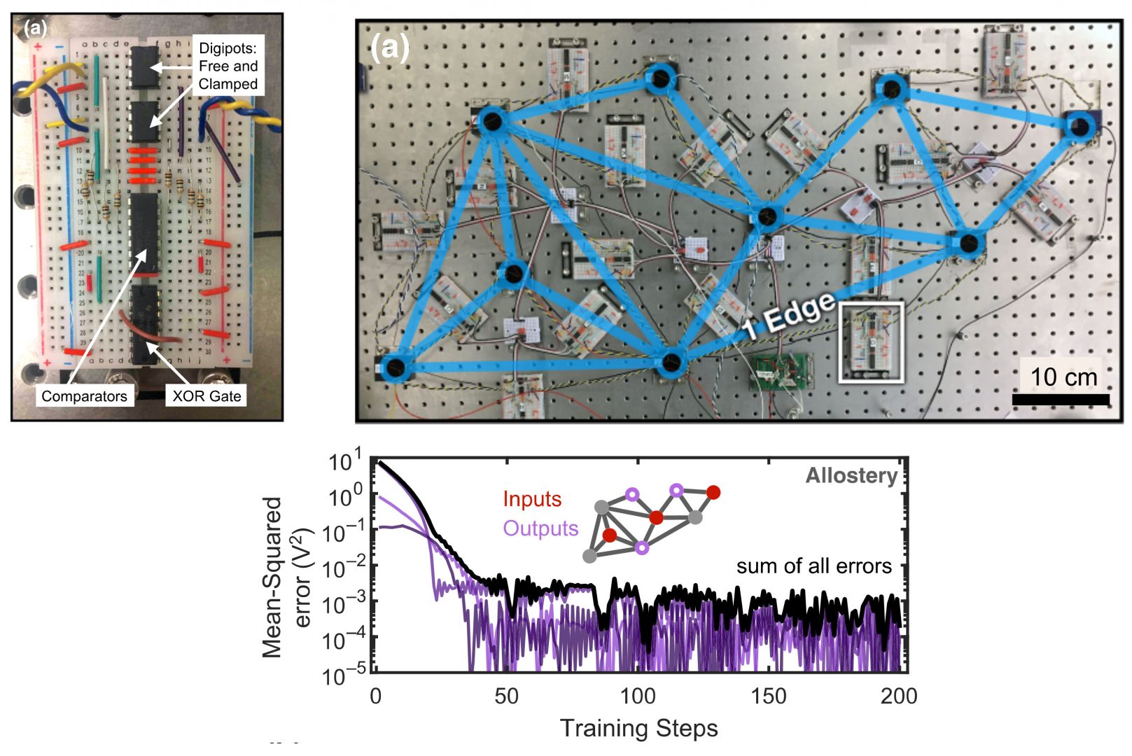 image of one variable-resistor edge and a randomly-connected network above a graph of training steps and errors