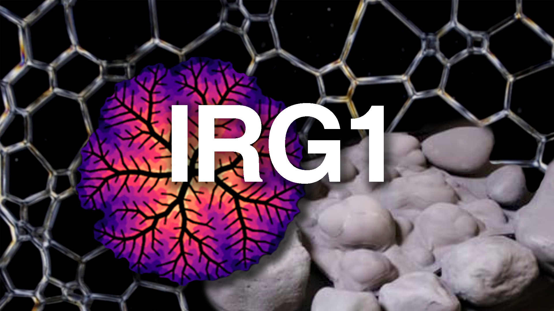IRG1 Featured Image