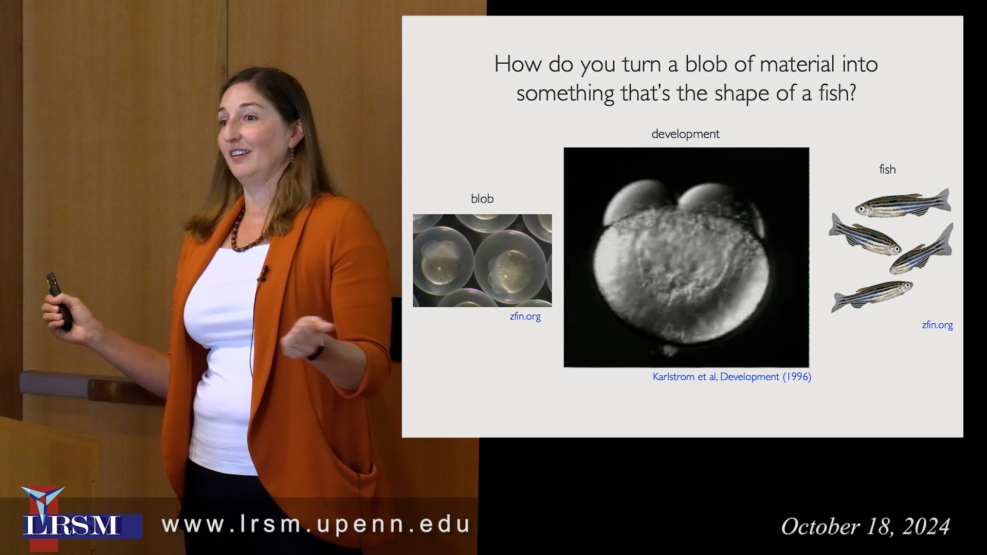 M. Lisa Manning Robert Maddin Lecture video thumbnail