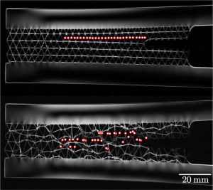 A side-by-side comparison of two different mechanical metamaterials, showing how one broke more easily because it had a more ordered structure. Red dots indicate where the structure broke.