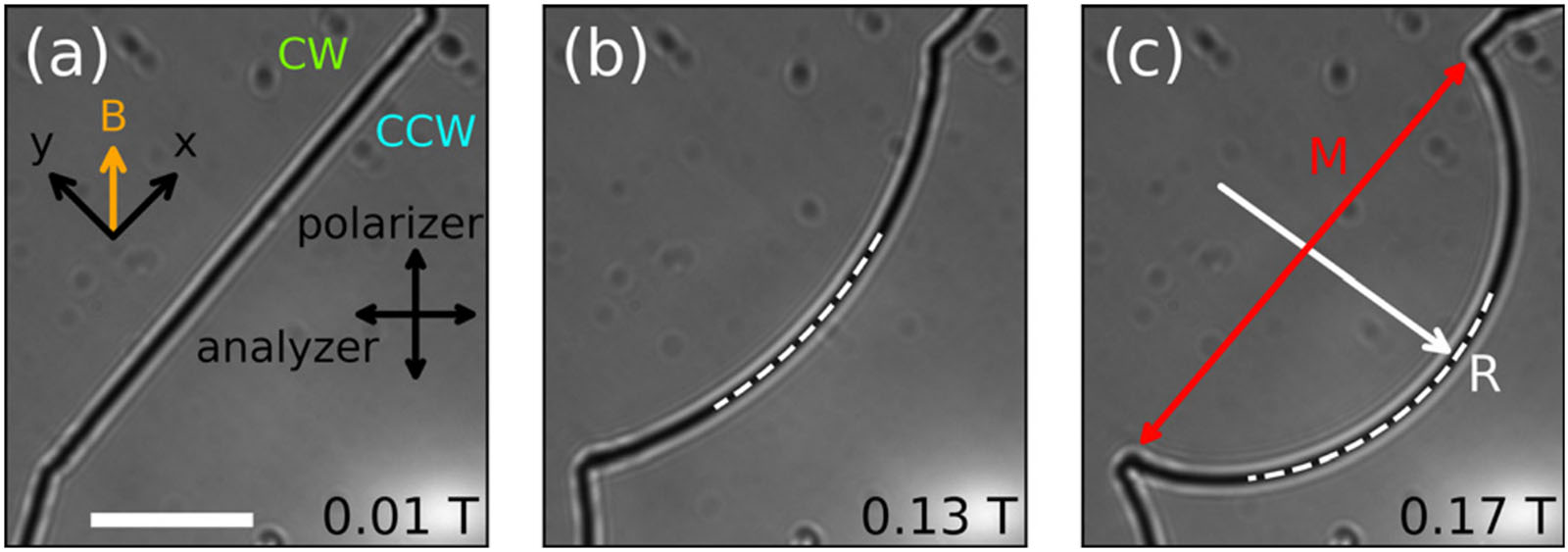 Images showing the motion of disclinations in liquid crystals
