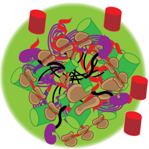 decorative art for Chilkoti lecture